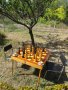 Градински шах, снимка 8