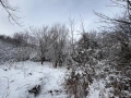 Незастроен парцел в с.Габра, снимка 9