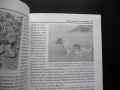 Лов на прелетен дивеч Николай Русков пъдпъдък горски бекас куче ловец пушка ловджия, снимка 2