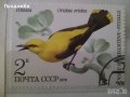 Красива антична колекция пощенски марки с птици от 1979 г., снимка 2