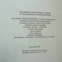 Книга 100 години българска държавна статистика 1881-1981 1984 г., снимка 2 - Други - 40616472