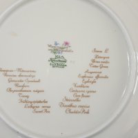 Порцеланови чинии  - Бавария - 16 броя, снимка 9 - Антикварни и старинни предмети - 32891745