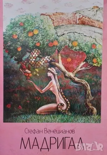 Мадригал, снимка 1