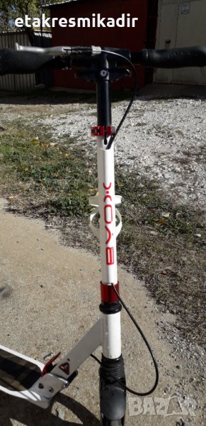 Тритонетка , снимка 1