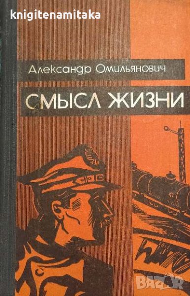 Смысл жизни - Александр Омильянович, снимка 1