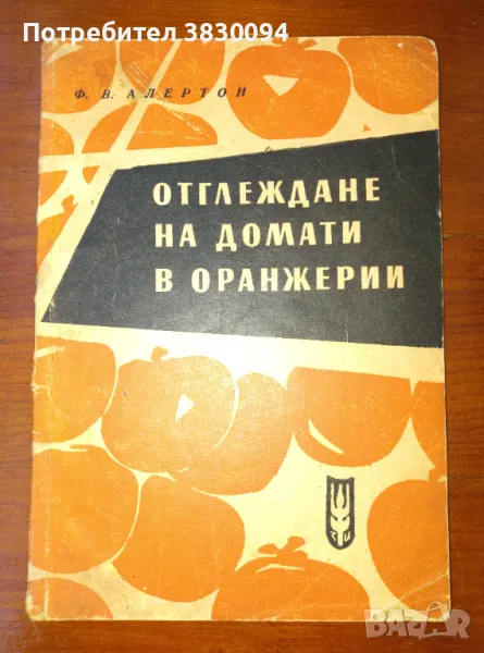 Отглеждане на Домати в Оранжерии, снимка 1