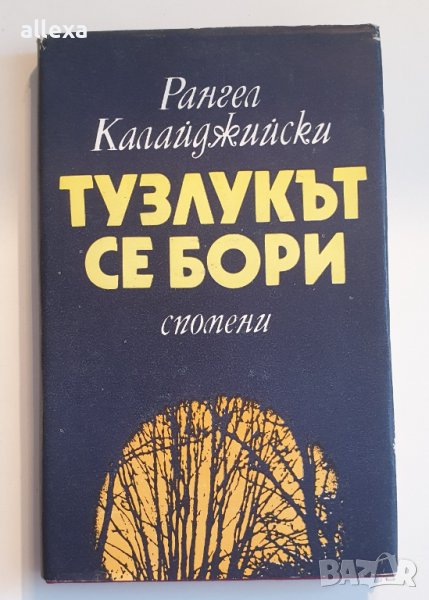 " Тузлукът се бори " - Рангел Калайджийски , снимка 1