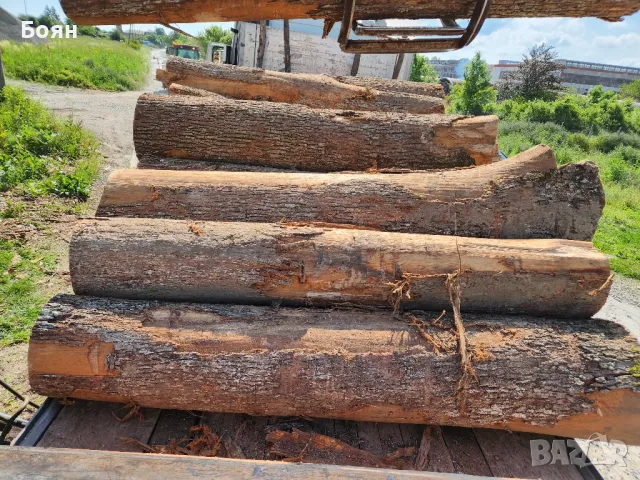 ЛИПА ДЪСКИ, ДЪБ, БУК, ЯСЕН И ОРЕХ, снимка 16 - Дърводелски услуги - 48118585