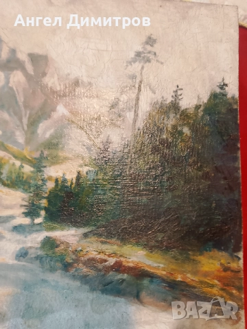 Маслена картина , снимка 7 - Картини - 51846315