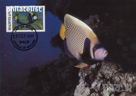 Малдиви 1986 - 4 броя Карти Максимум - WWF, снимка 4 - Филателия - 39013172