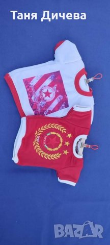 Мини тениска за автомобил, снимка 11 - Аксесоари и консумативи - 35169384