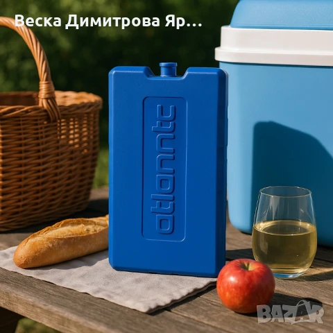 Охладител за хладилна кутия Atlantic 400gr, снимка 4 - Други стоки за дома - 50634836