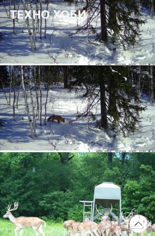 Ловна камера Suntek HC-810M 2G/4G LTE FULL HD,MMS EMAIL APP дисплей, нощно виждане, водоустойчива, снимка 15 - Камери - 40730754