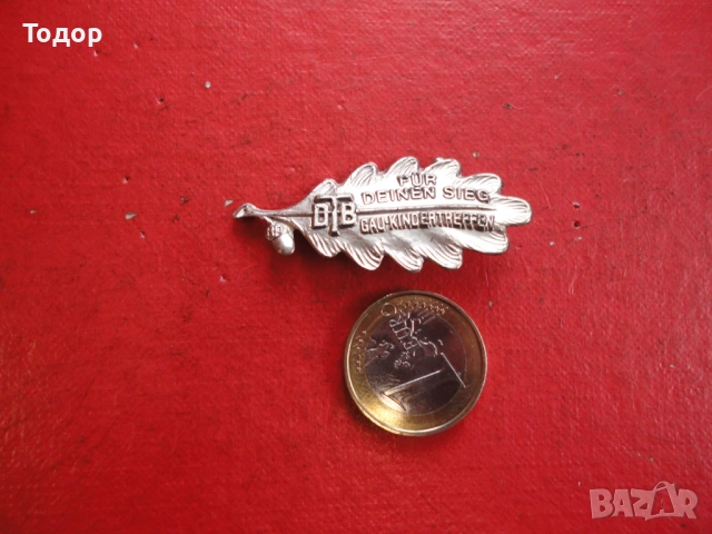 Старинен знак значка 2