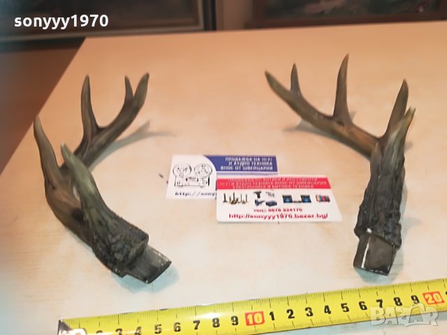 рога комплект 2бр 2005212045, снимка 4 - Антикварни и старинни предмети - 32947574