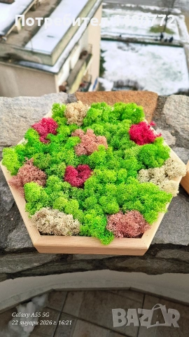 Пано шестоъгълник със скандинавски мъх , снимка 6 - Пана - 52117378