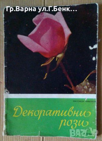 Декоративни рози  Надежда Николова