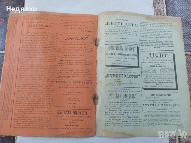 Списание Природа,1896г,печати, снимка 15 - Антикварни и старинни предмети - 37780277