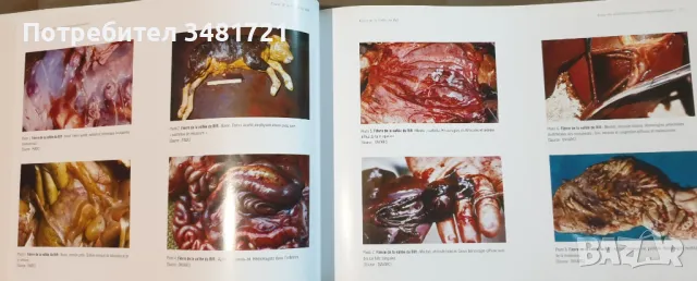 Атлас на болестите по животните / Atlas des Maladies Animales Transfrontalières, снимка 9 - Специализирана литература - 49756394