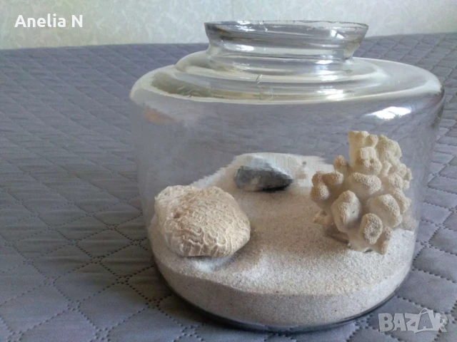 Аквариум -3л, снимка 2 - Аквариуми - 51018760