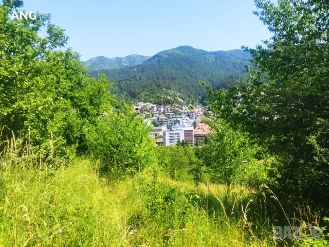 Продава парцел в гр.Девин , снимка 10 - Парцели - 50804650