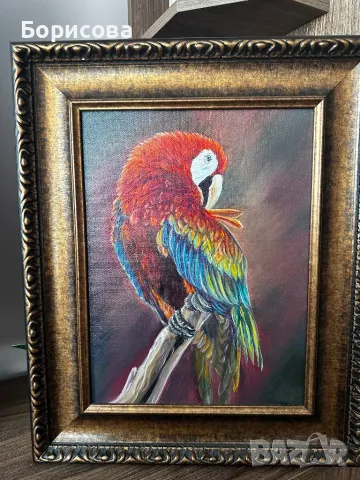 Картина Папагал , снимка 1