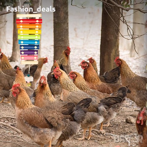 Нов комплект 4 броя играчки за пилета, кокошки, птици Ксилофон Люлка, снимка 5 - За птици - 34900003