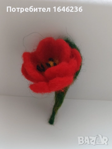 Брошки, снимка 14 - Други - 52247319