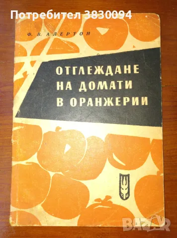 Отглеждане на Домати в Оранжерии