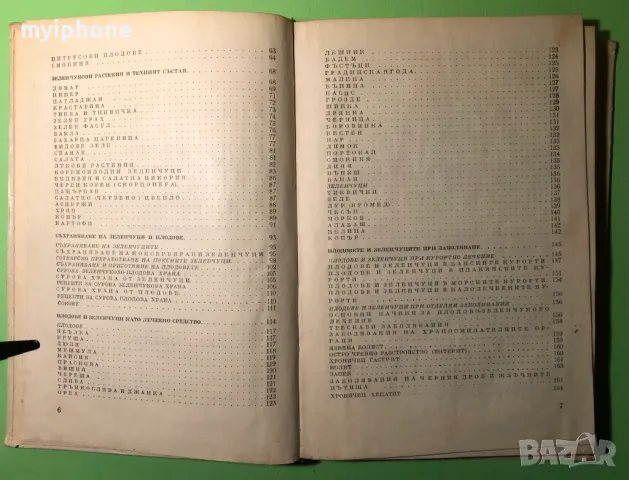 Стара Книга Плодовете и Зеленчуците Храна и Лечебно Средство, снимка 3 - Специализирана литература - 49279639