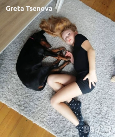 Чистокръвни доберманчета, снимка 8 - Доберман - 52678560