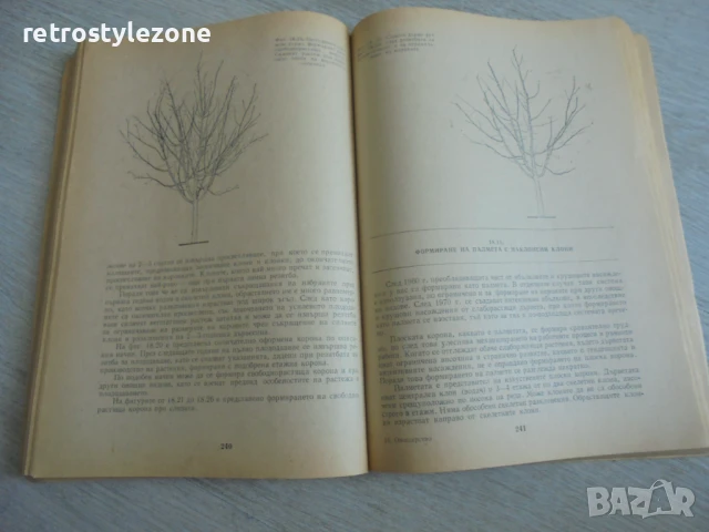 № 8168 стара книга - "Овощарство"   - издателство - Земиздат 1990 г.  , снимка 4 - Специализирана литература - 51288496