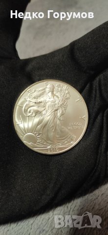 Сребърна монета Американски орел 2010 година 1 унция, снимка 1