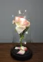 Вечна LED светеща роза в стъкленица , снимка 2