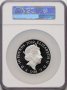 2022 Henry VII - 10oz £10 - NGC PF70 First Releases -Възпоменателна Монета - Кутия и Сертификат #109, снимка 2