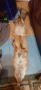 естесвена яка от лисица-70лв, снимка 3