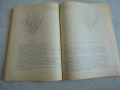 № 8168 стара книга - "Овощарство"   - издателство - Земиздат 1990 г.  , снимка 4