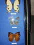 препарирани пеперуди, снимка 5