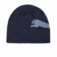 puma winter cap - страхотна зимна шапка, снимка 1 - Шапки - 34816750
