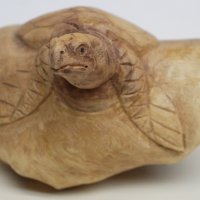 Дървена гъба водна костенурка ръчна изработка уникален подарък, снимка 11 - Статуетки - 36804590