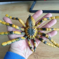 реалистична силиконова тарантула от Холандия, снимка 3 - Колекции - 44922719