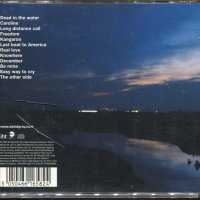 David Gray-anew day at midnight, снимка 2 - CD дискове - 36969636