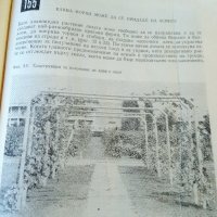 "288 СЪВЕТА ЗА ЛЮБИТЕЛЯ-ЛОЗАР"1971 г., снимка 3 - Българска литература - 28001846