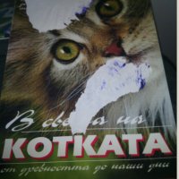 " В света на котката от древността до наши дни", снимка 1 - Специализирана литература - 35291105