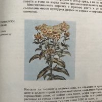 Атлас по ботаника - Славчо Петров, Емануил Паламарев, снимка 3 - Специализирана литература - 28699605