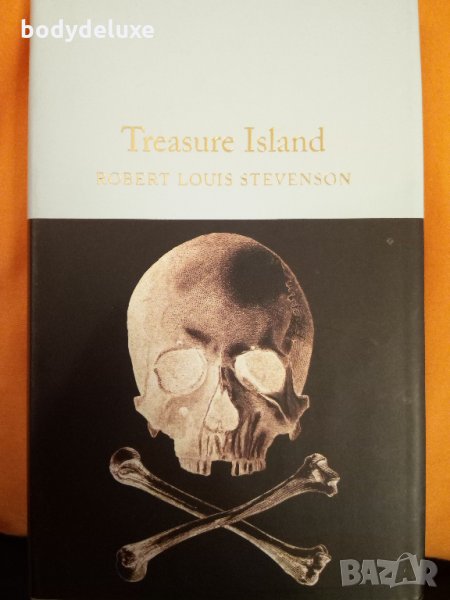 Treasure Island Robert Louis Stevenson, снимка 1