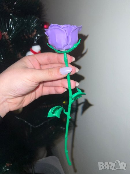 Декоративна роза, снимка 1