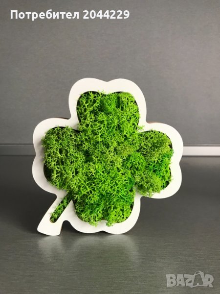 Детелина” със скандинавски мъх, снимка 1