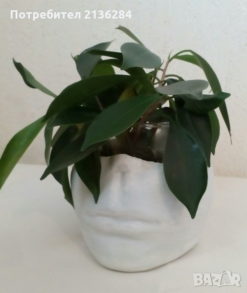 Керамична кашпа , снимка 1