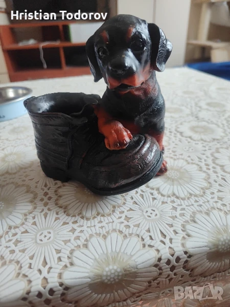 Куче касичка., снимка 1